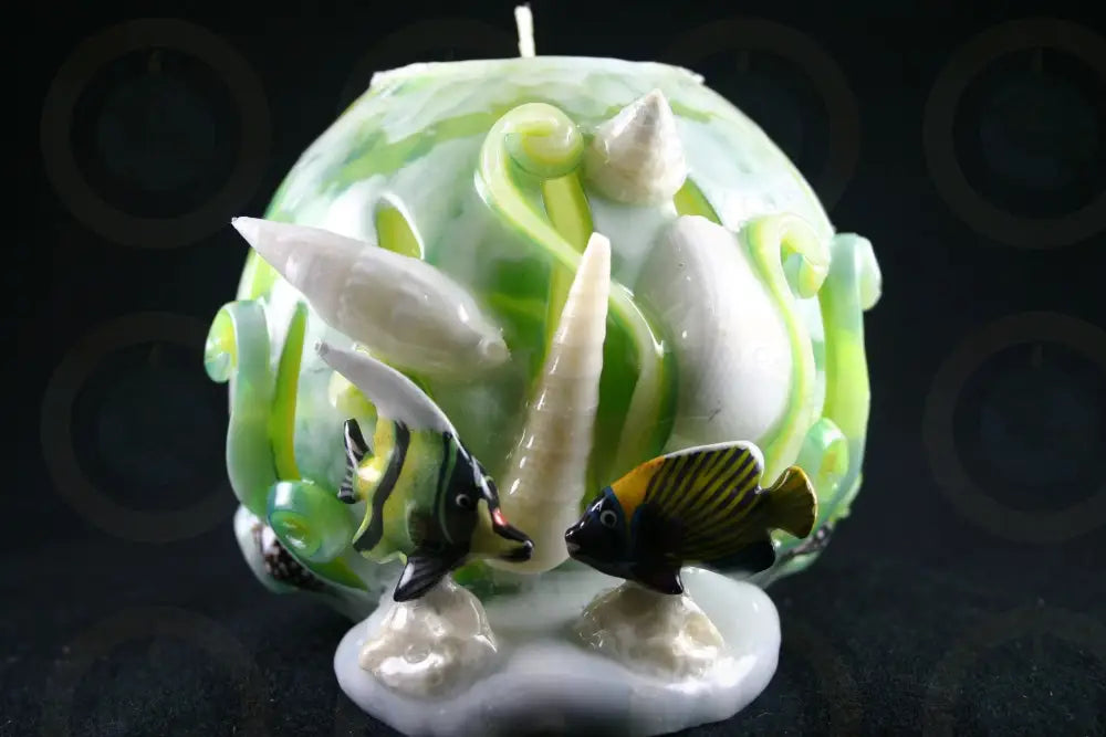 Tropical Fish White Shell in Sea Candle