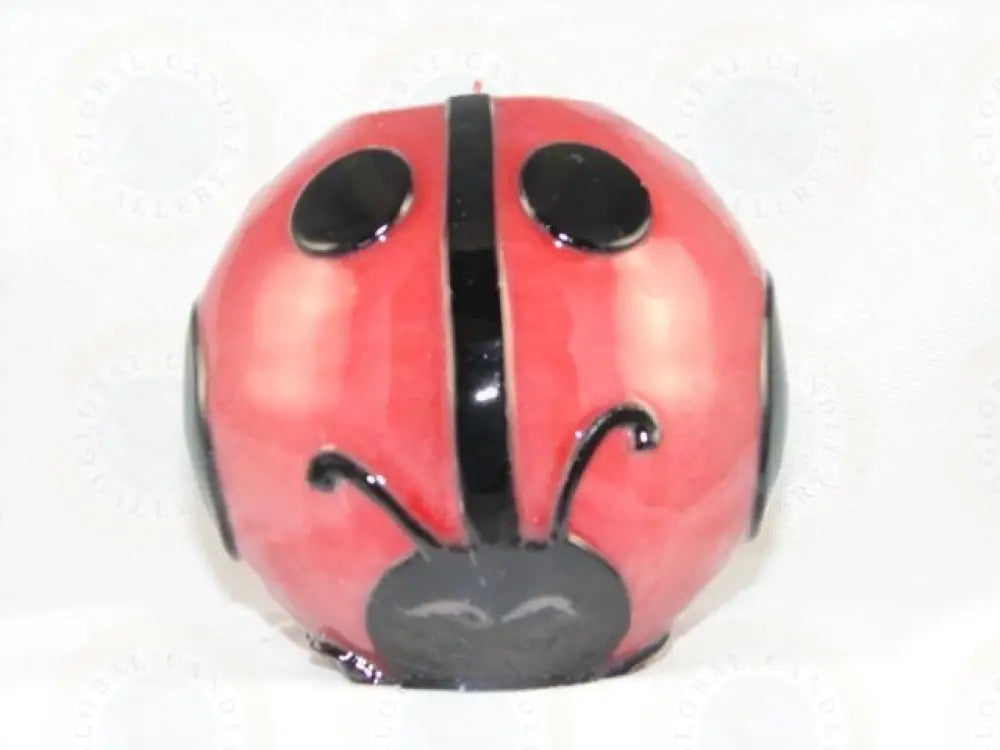 Big Ladybug