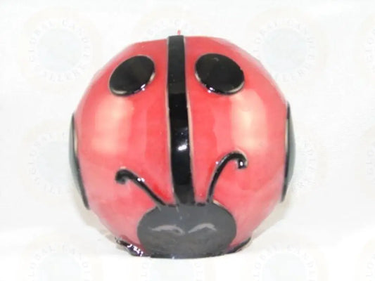 Big Ladybug