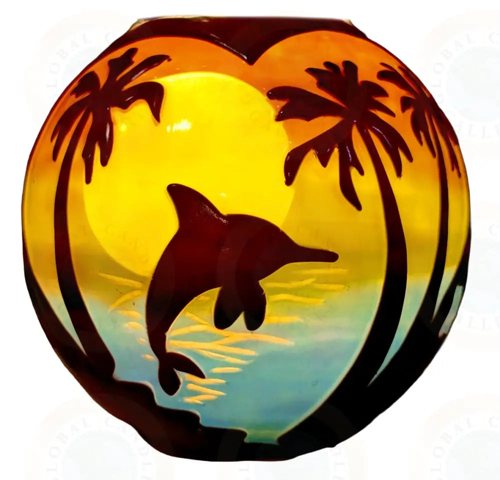 Dolphin in Tropical Sunset Black