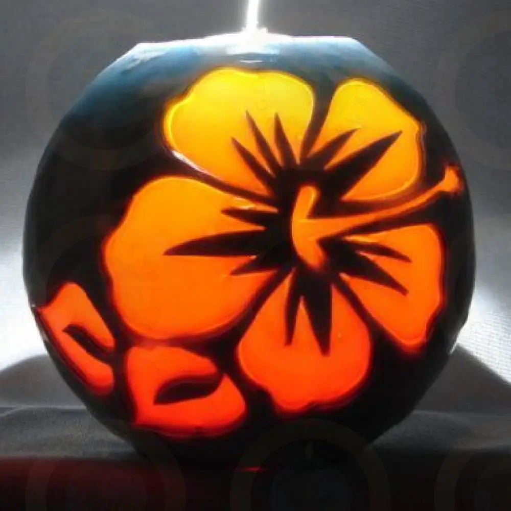 Hibiscus