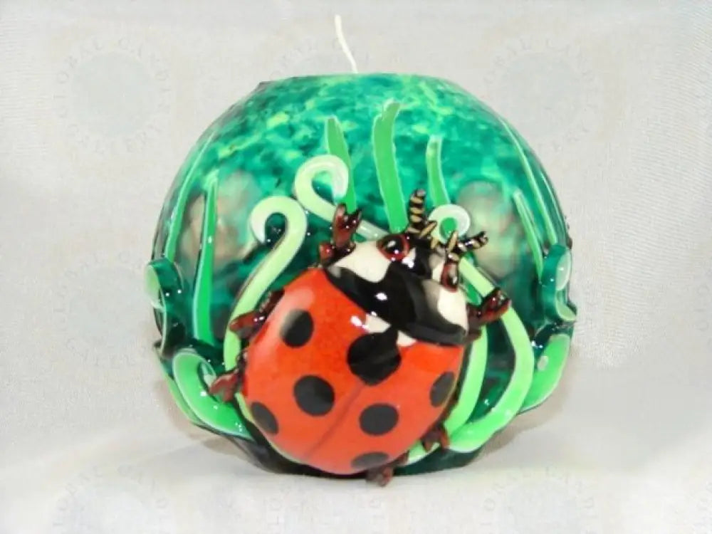 Lady Bug